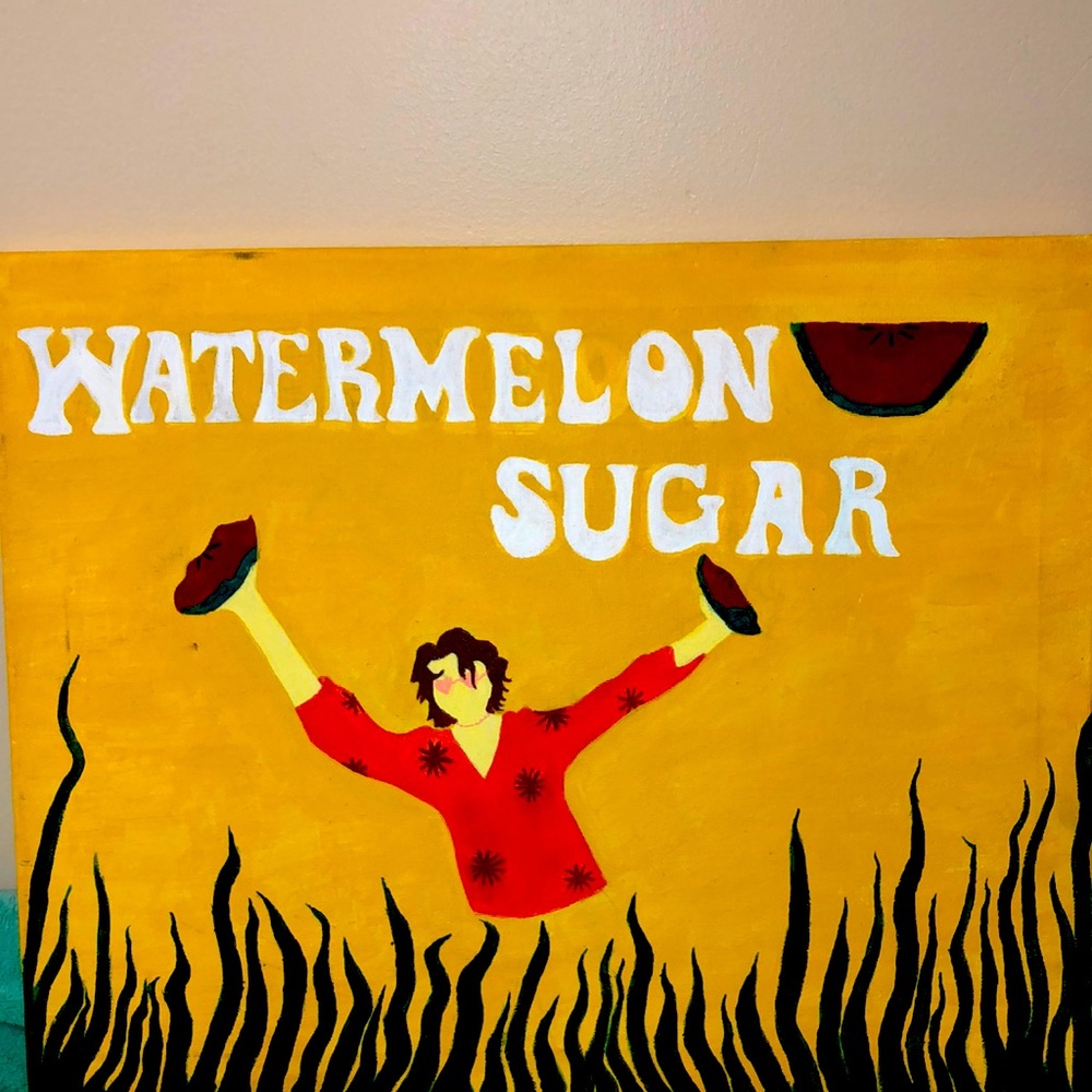 Harry styles watermelon sugar painting! 20x16 inch. Homemade